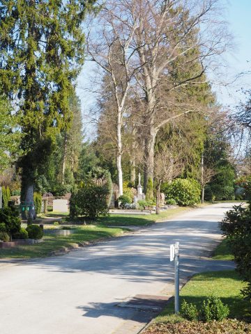 Weg auf dem Nordfriedhof