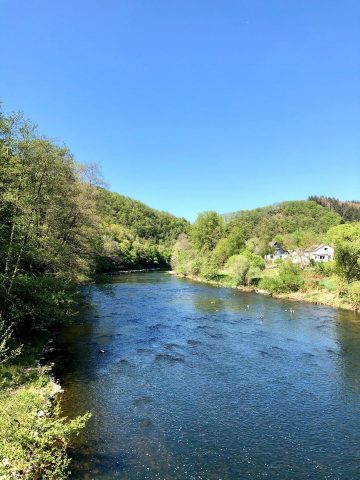 Blick auf die Sieg